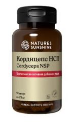 кордицепс